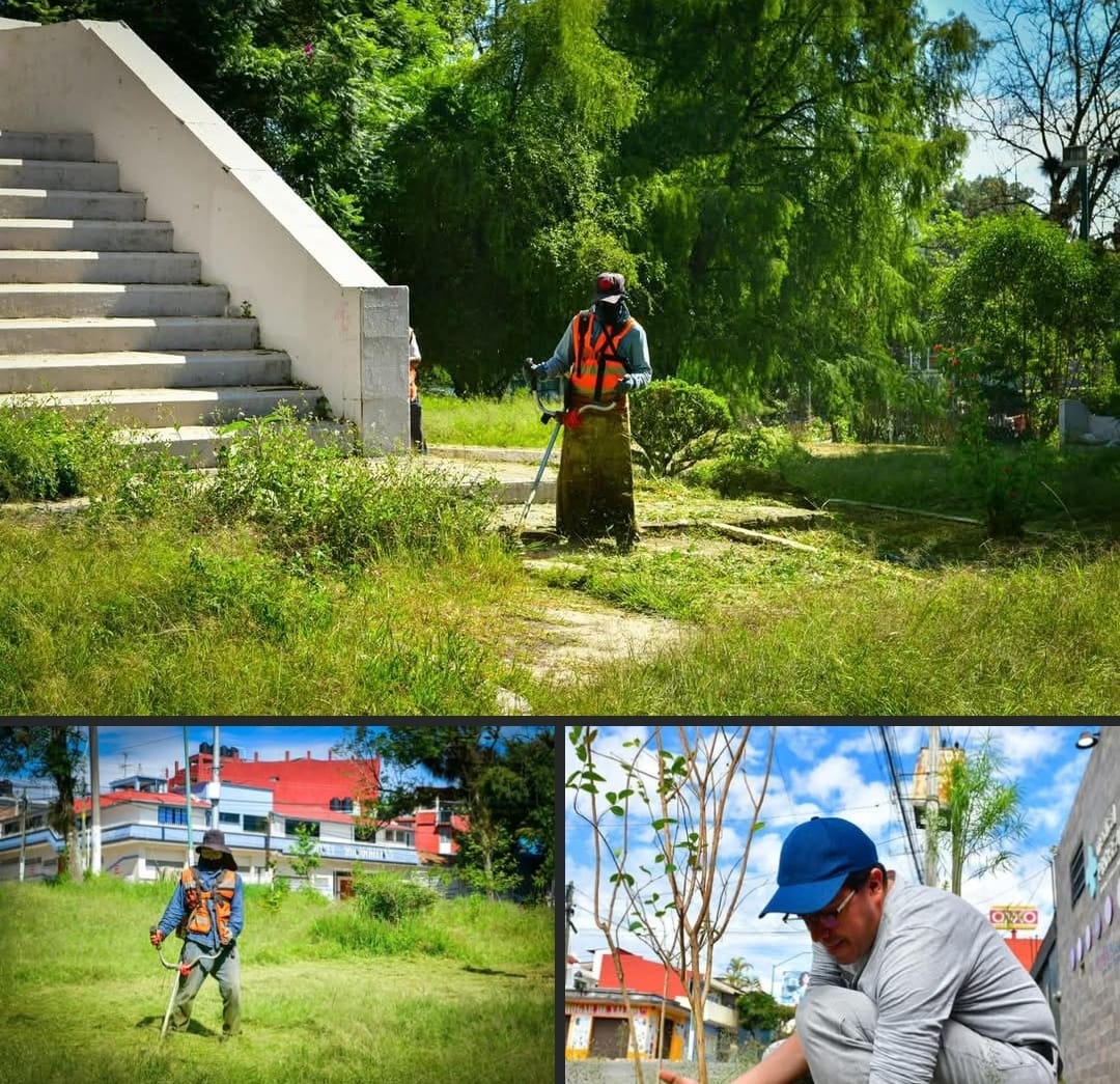 JORNADA COMUNITARIA DE MANTENIMIENTO DE AREAS VERDE