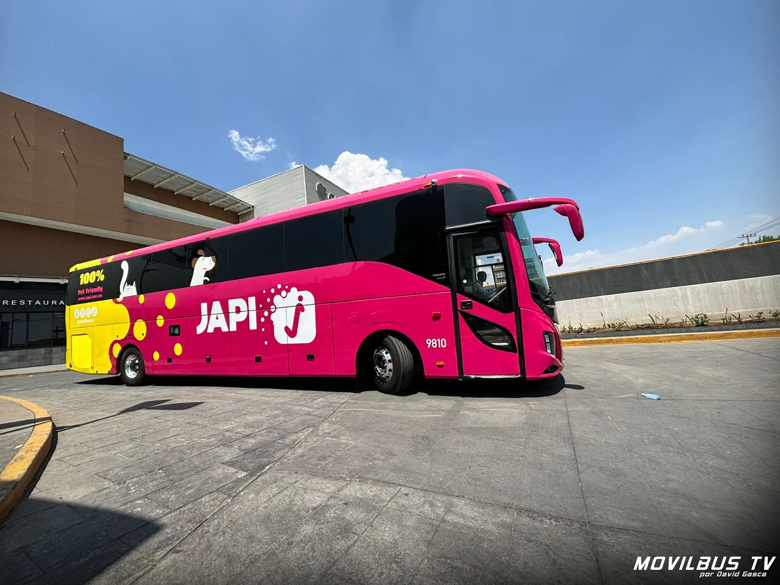 Desaparece autobús con pasajeros en la Cosamaloapan-Acayucan