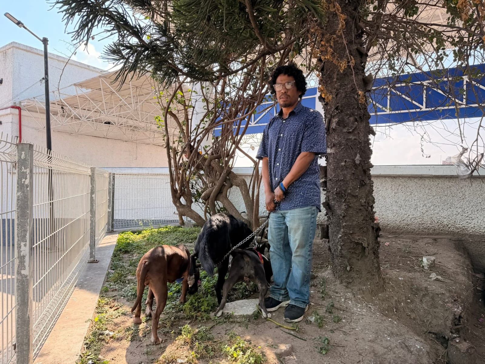 Tras ser deportado de EU, llega a Xalapa con sus tres perritos (Video)