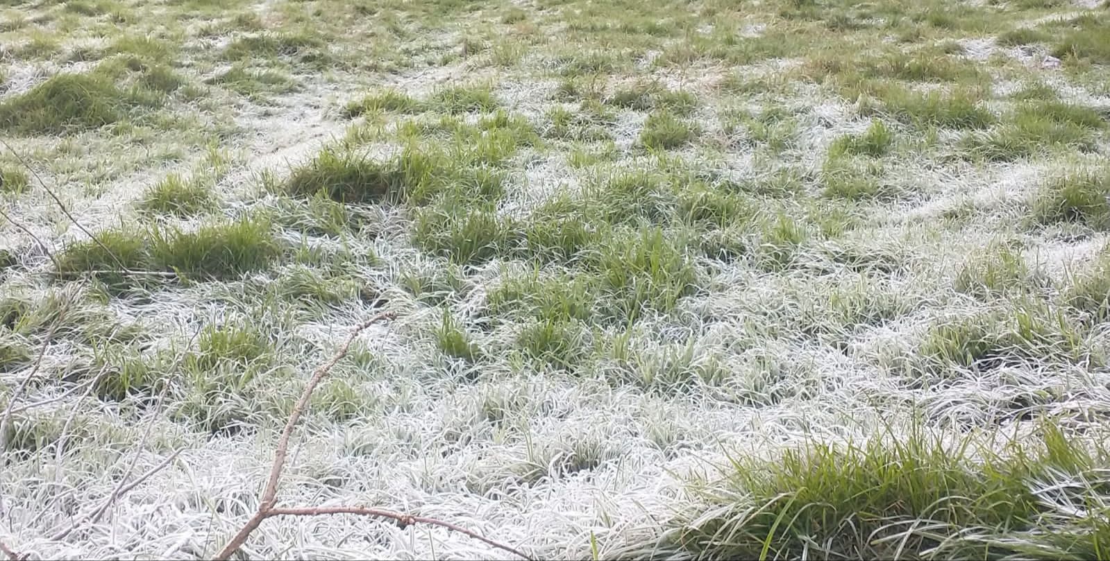 Esta madrugada se registró el frío más intenso de la temporada