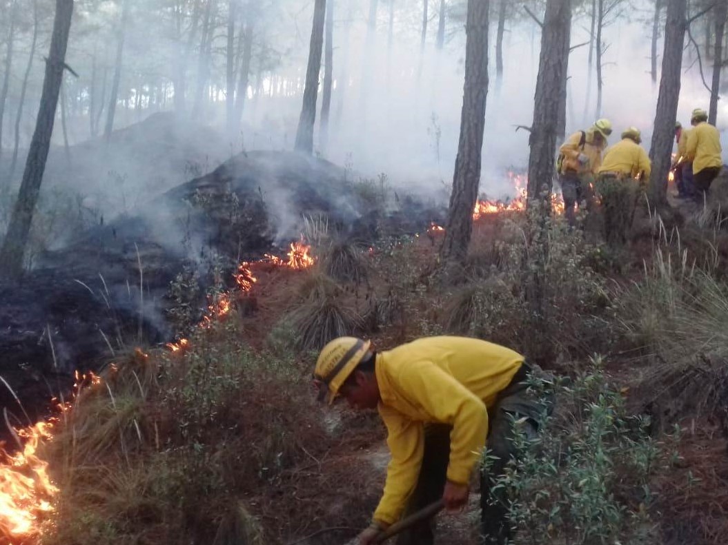 Repunte de incendios forestales tras aumento de temperaturas