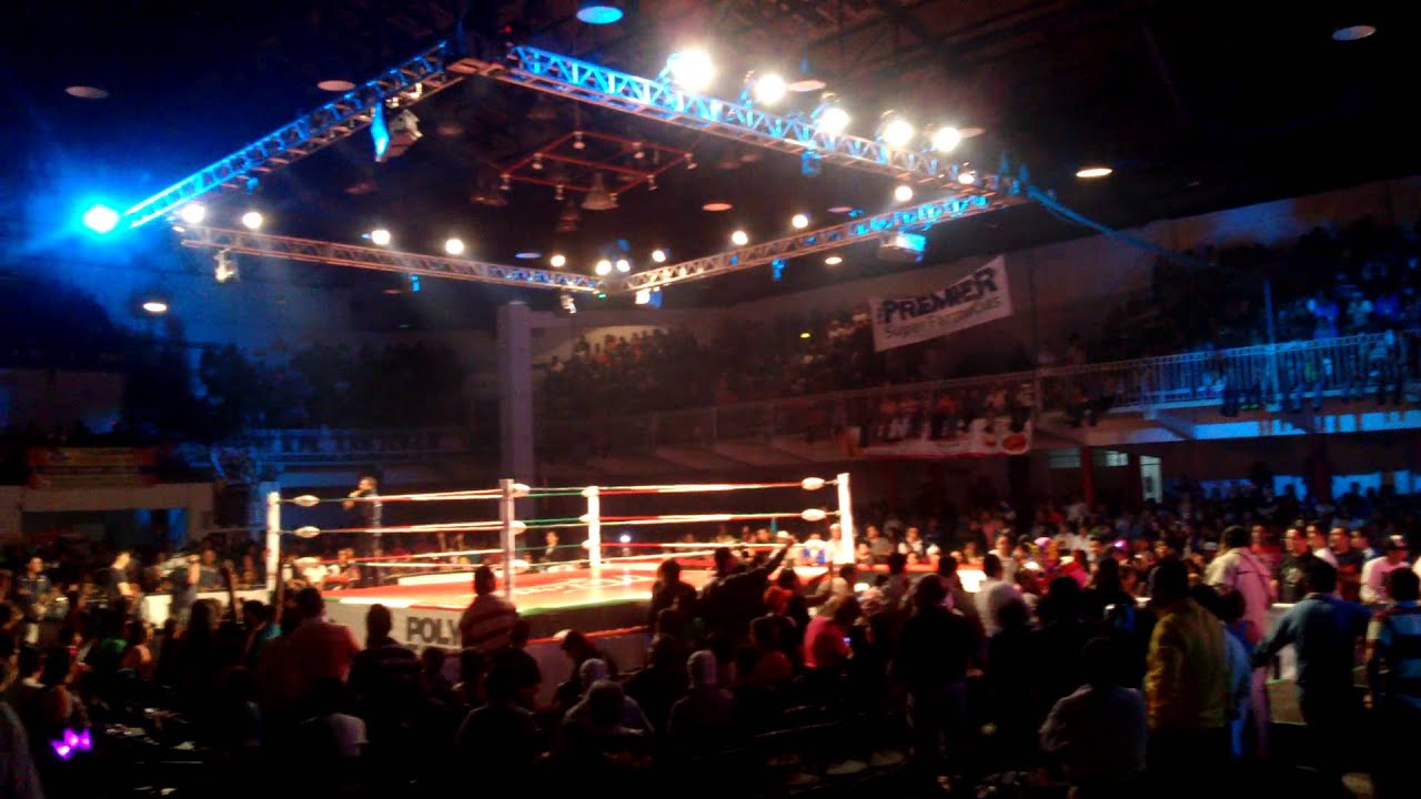 Aficionado cae desde 3 metros en la Arena Xalapa (Video)