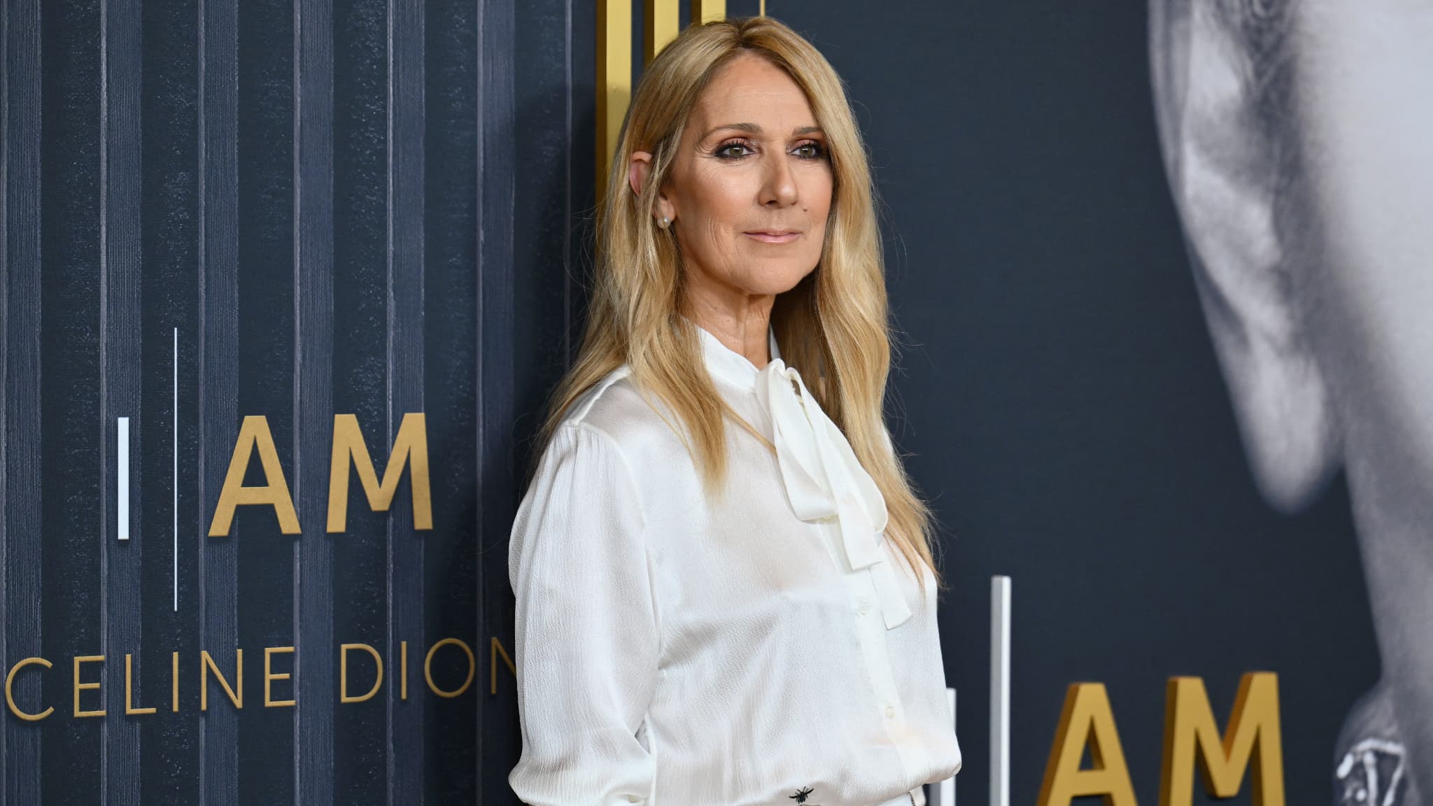 Tras una pausa por salud, Céline Dion vuelve a los escenarios
