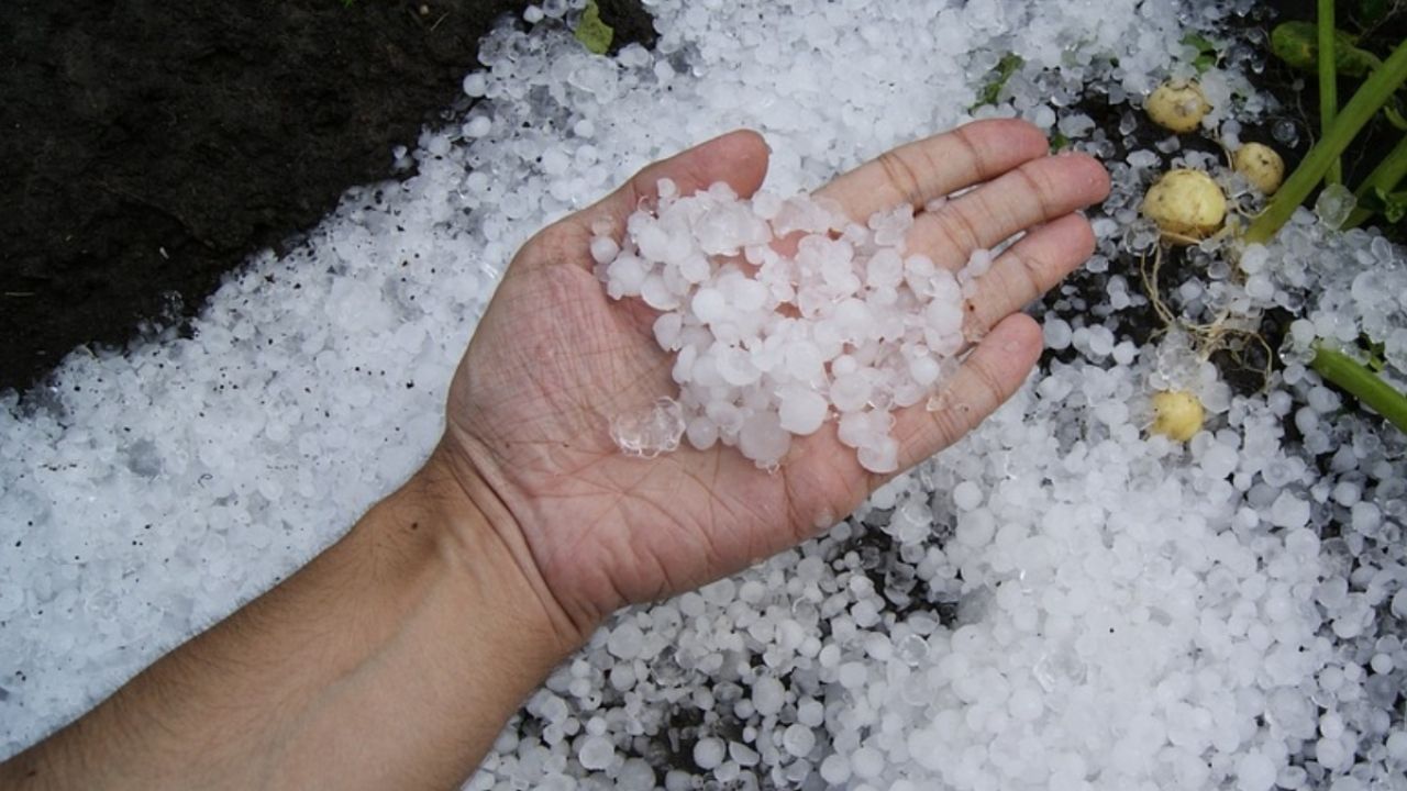 Granizo y tormentas eléctricas impactan Veracruz por frente frío 42