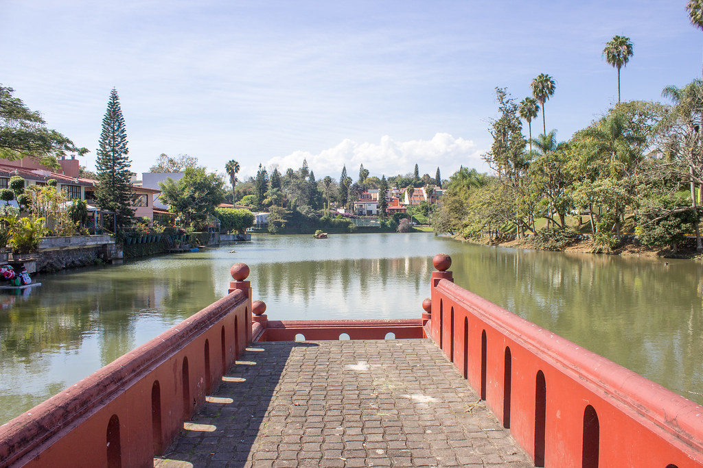 Mortandad en los lagos… una alfombra verde lo cubre (Video)