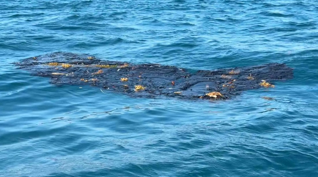 Aparecen manchas de crudo en costas de Alvarado y Veracruz