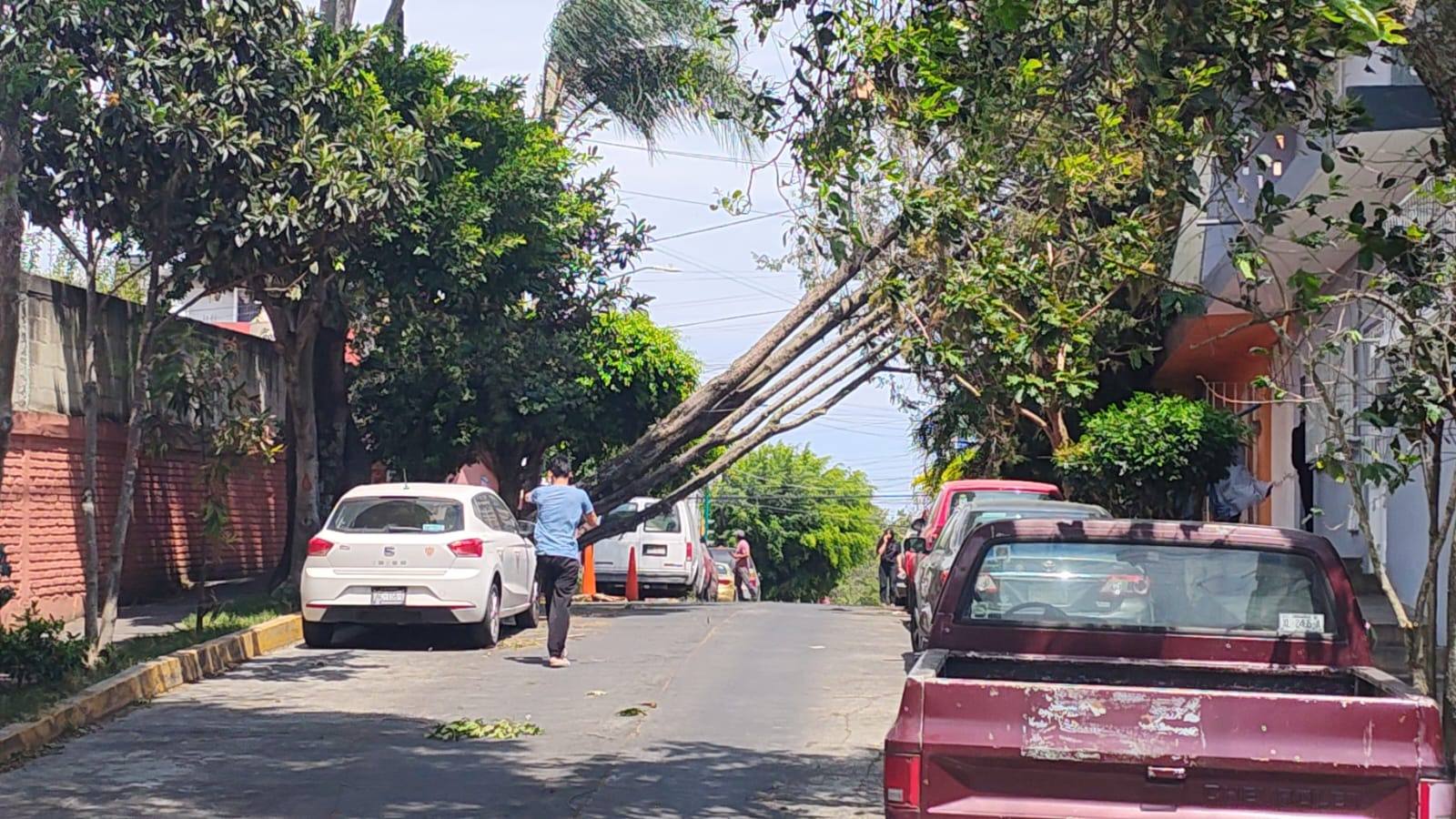 Vientos de casi 80 km/h causan varios daños en Xalapa