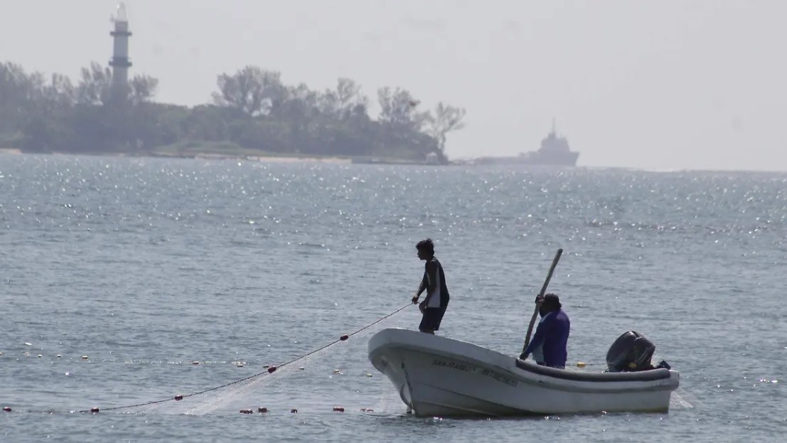 Garantizan calidad del pescado en Veracruz tras presencia de chapopote