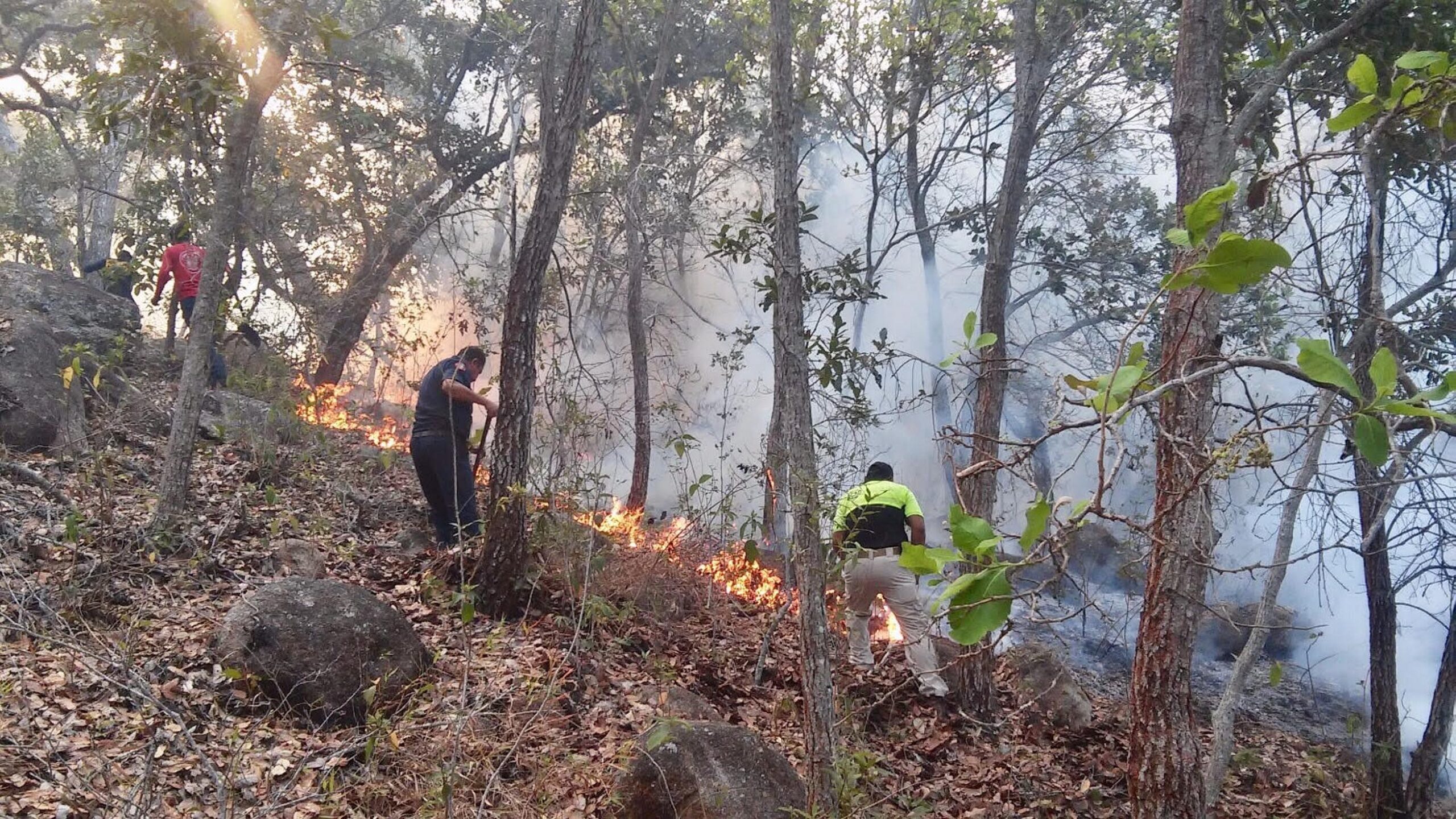 Veracruz, en alerta por incendios