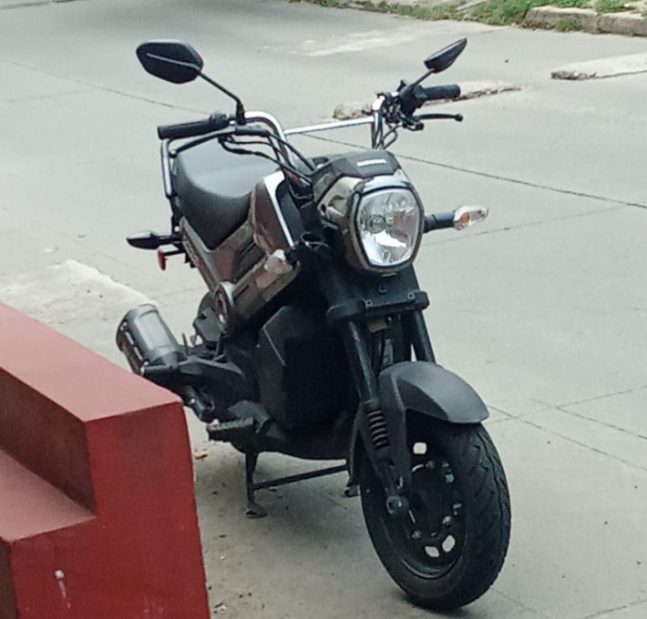 Atención RATAS DE DOS PATAS… Moto…