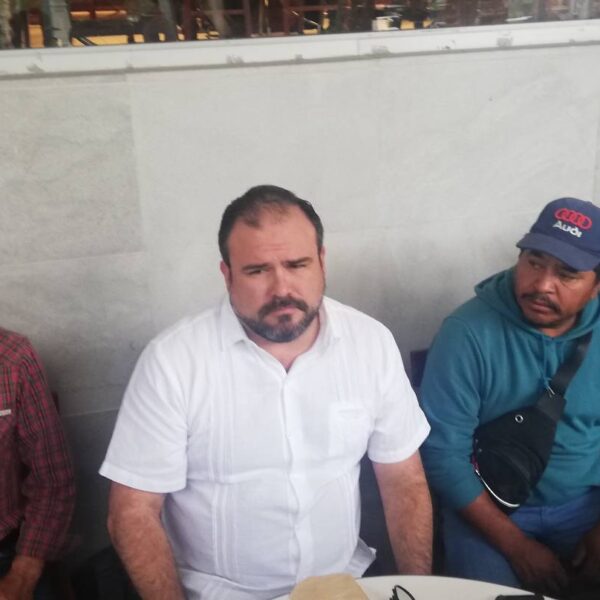 Alzan la voz en el Cofre de Perote ante tala ilegal