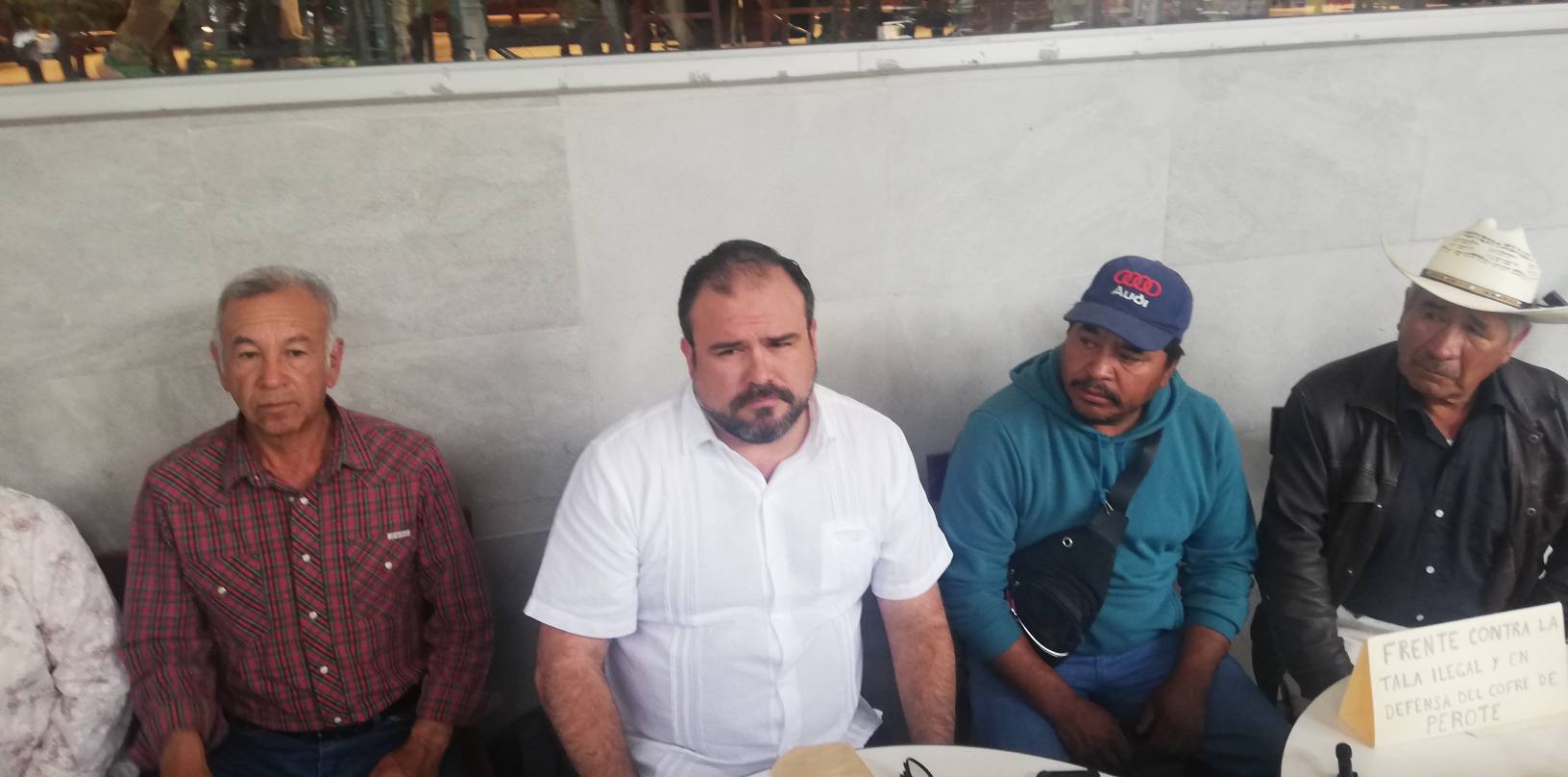 Alzan la voz en el Cofre de Perote ante tala ilegal