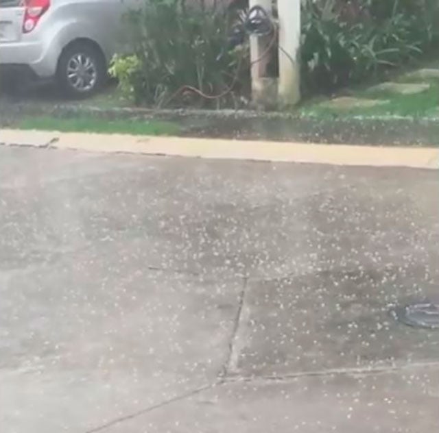 Reportan granizada en las inmediaciones de Banderilla