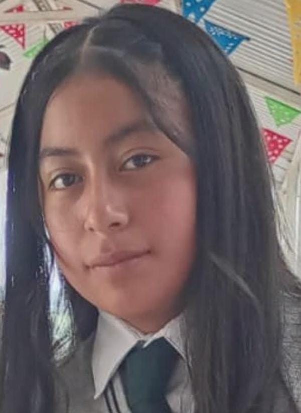 QUINCEAÑERA DESPARECE…