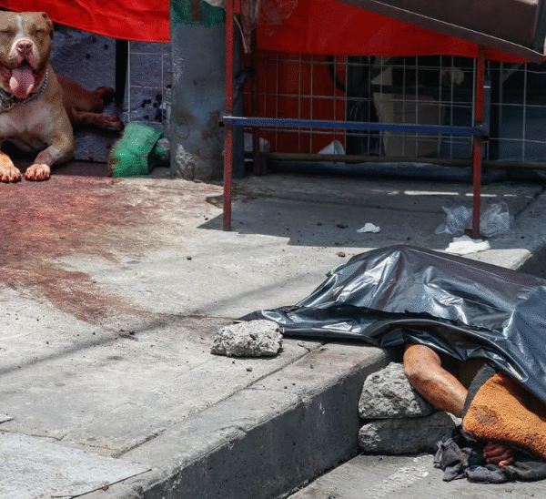 INDIGENTE MUERE TRAS SER ATACADO POR PITBULL EN CDMX