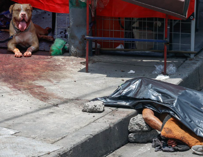 INDIGENTE MUERE TRAS SER ATACADO POR PITBULL EN CDMX