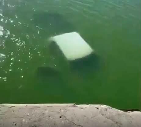 VEHÍCULO DE LA MARINA CAE AL RIO Y FALLECEN CUATRO ELEMENTOS